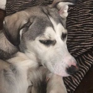 Meet your Posher, Michele